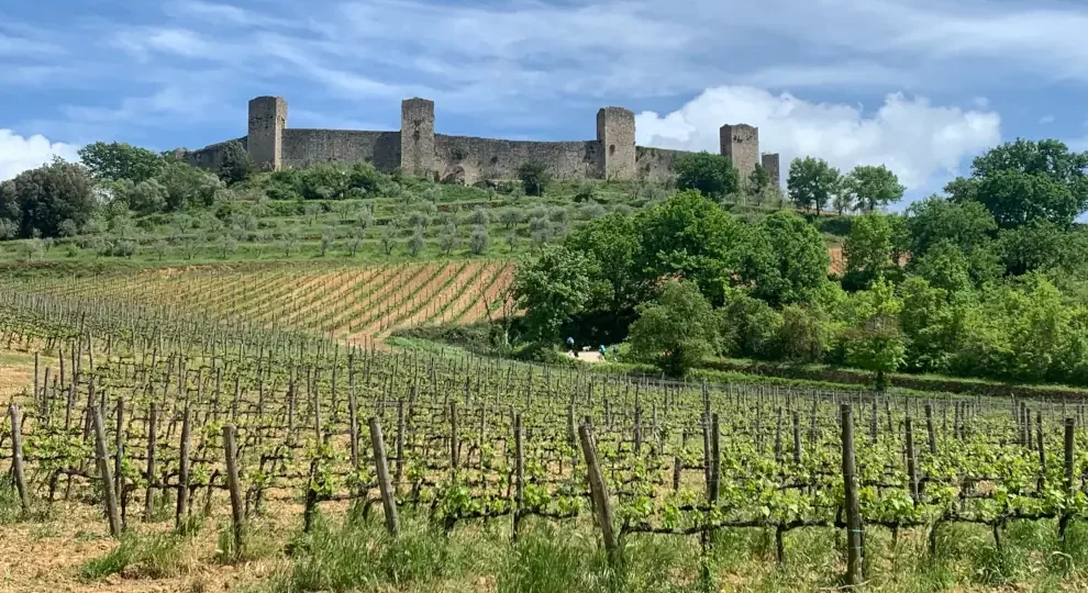 Wanderreise Höhepunkte der Via Francigena in der Toskana: Mauern von Monteriggioni