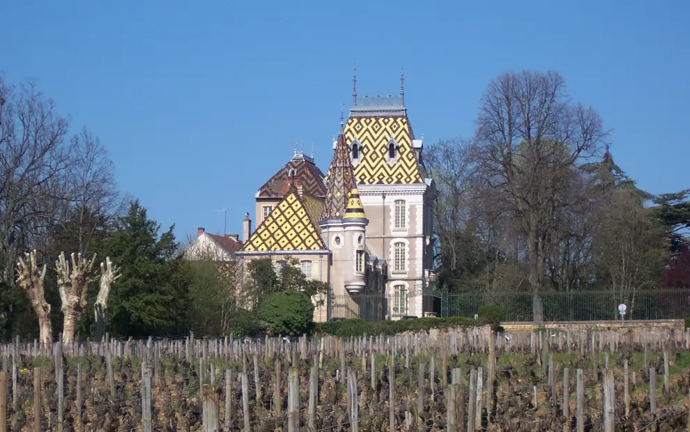 Wanderreise Jakobsweg Frankreich – Von Dijon nach Cluny: Blick auf das Château de Corton André mit umliegenden Weinbergen