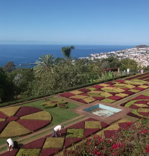 Blick auf den botanischen Garten von Madeira