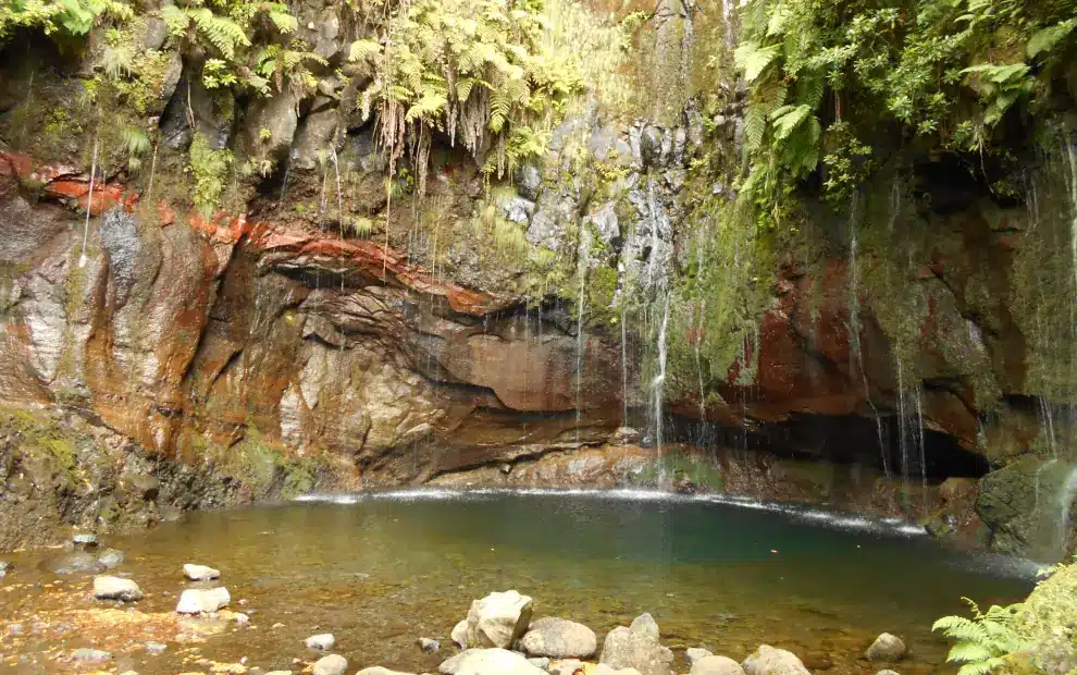 Wanderreise Madeira - Südwesten: 25 Quellen