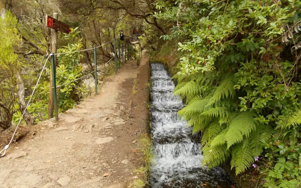 Wanderreise Madeira - Südwesten: Levada do Risco