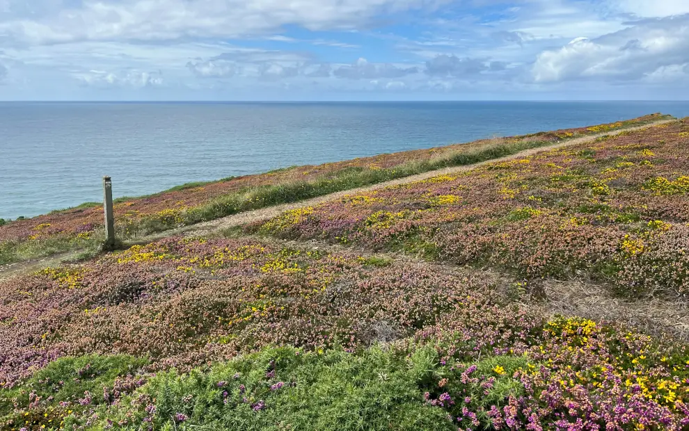 Wanderreise South West Coast Path: Wanderweg bei Mawgan Porth