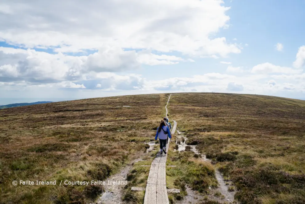 Djouce Mountain, Trail, Wicklow Mountains, Co Wicklow