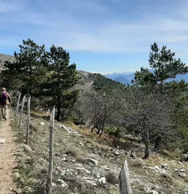 Wandern auf dem Franziskusweg: Pilger am Monte Subasio