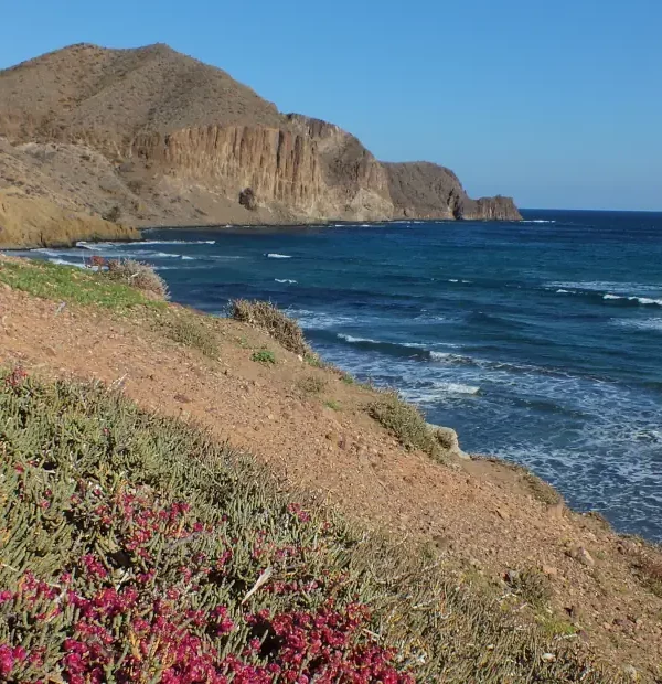 Wanderreise Andalusien - Cabo de Gata: Cala del Peñón Blanco