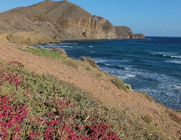 Wanderreise Andalusien - Cabo de Gata: Cala del Peñón Blanco