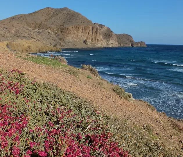 Wanderreise Andalusien - Cabo de Gata: Cala del Peñón Blanco