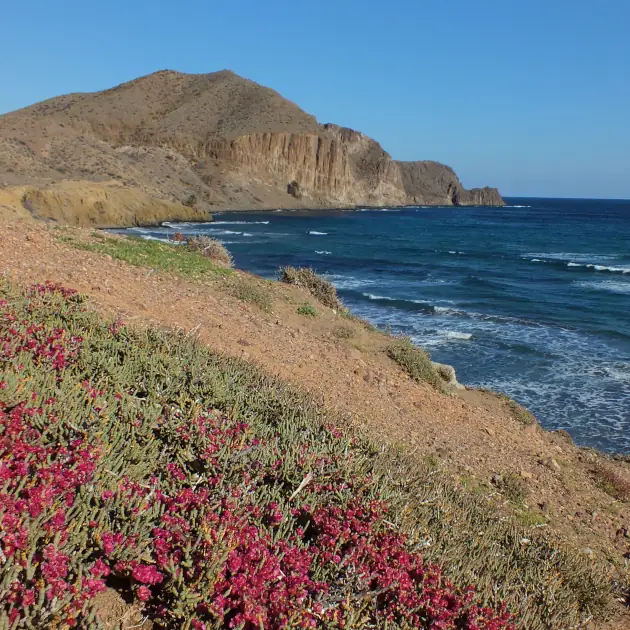 Wanderreise Andalusien - Cabo de Gata: Cala del Peñón Blanco