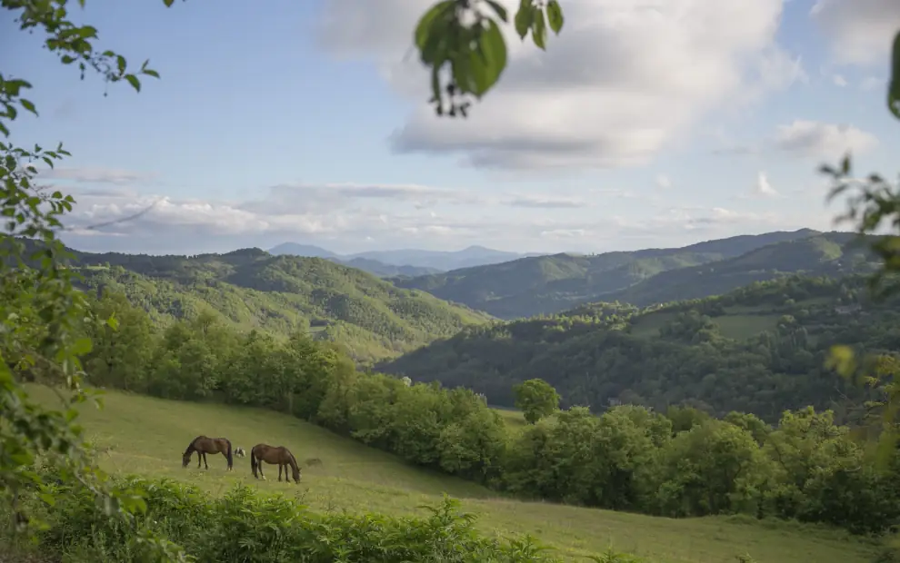 Wanderreise Franziskusweg: Typische Landschaft in Umbrien