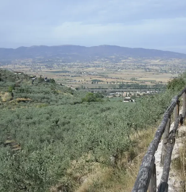 Wanderreise Franziskusweg: Wanderer auf dem Weg