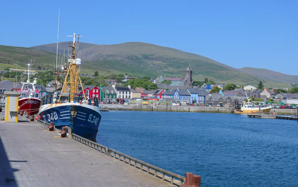 Wanderreise Irland - Dingle Way: Hafen von Dingle