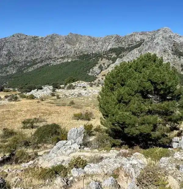 Wanderreise Andalusien: Landschaft im Naturpark Sierra de Grazalema
