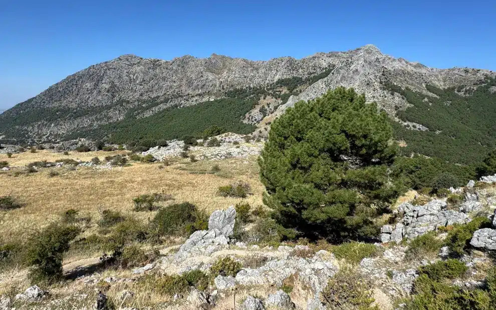 Wanderreise Andalusien: Landschaft im Naturpark Sierra de Grazalema