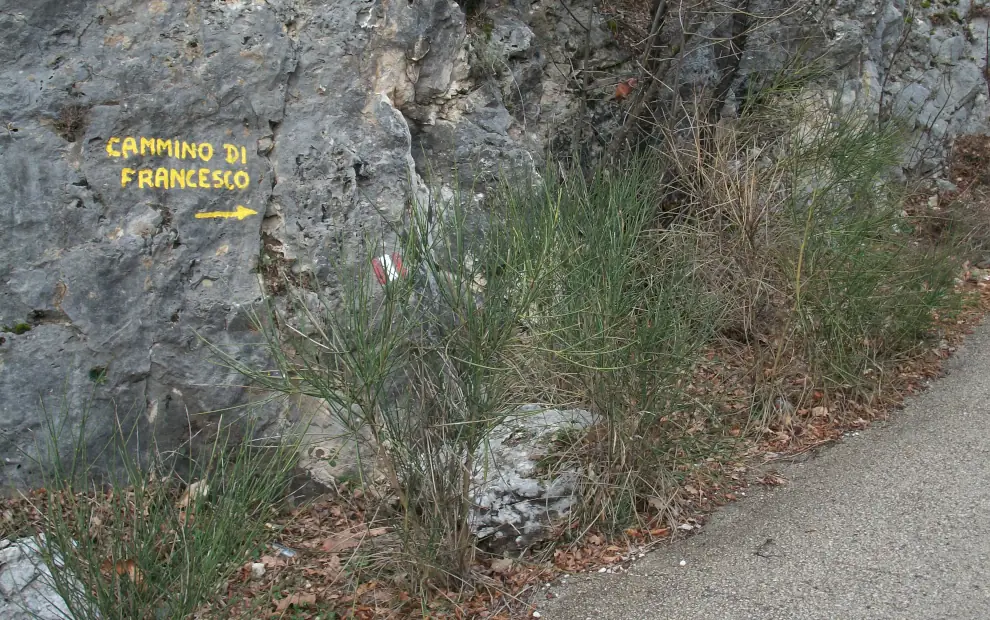 Wanderreise Franziskusweg: Beschilderung Cammino di Francesco
