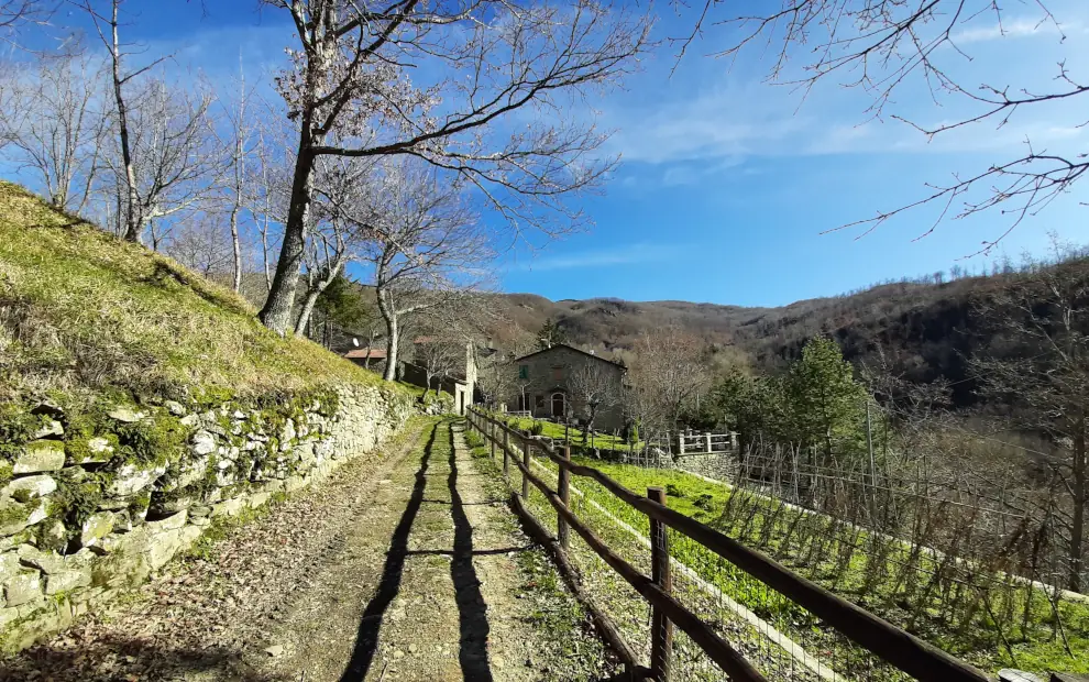 Wandern auf dem Franziskusweg